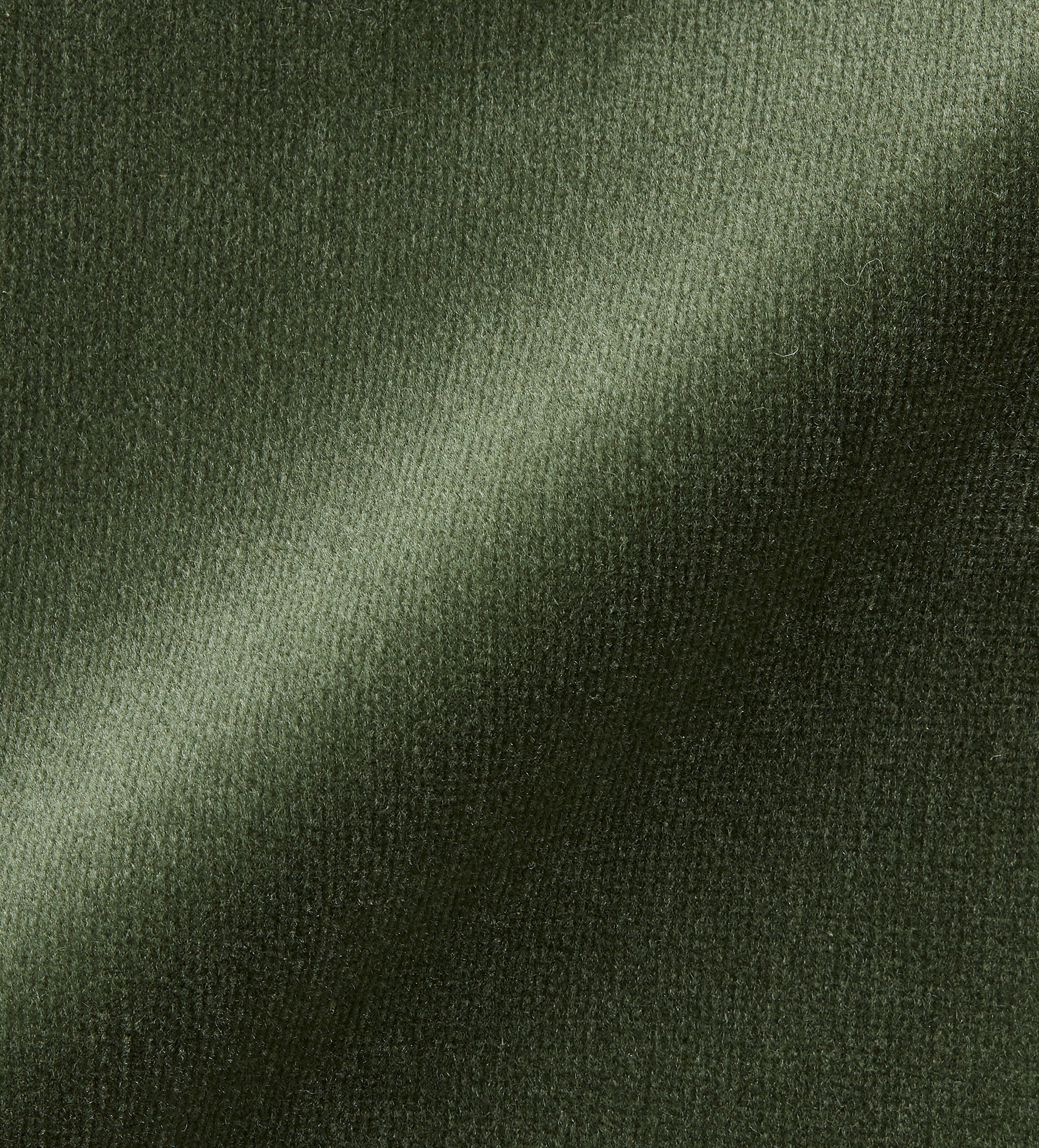 Velvet Fabric Swatch - Moss