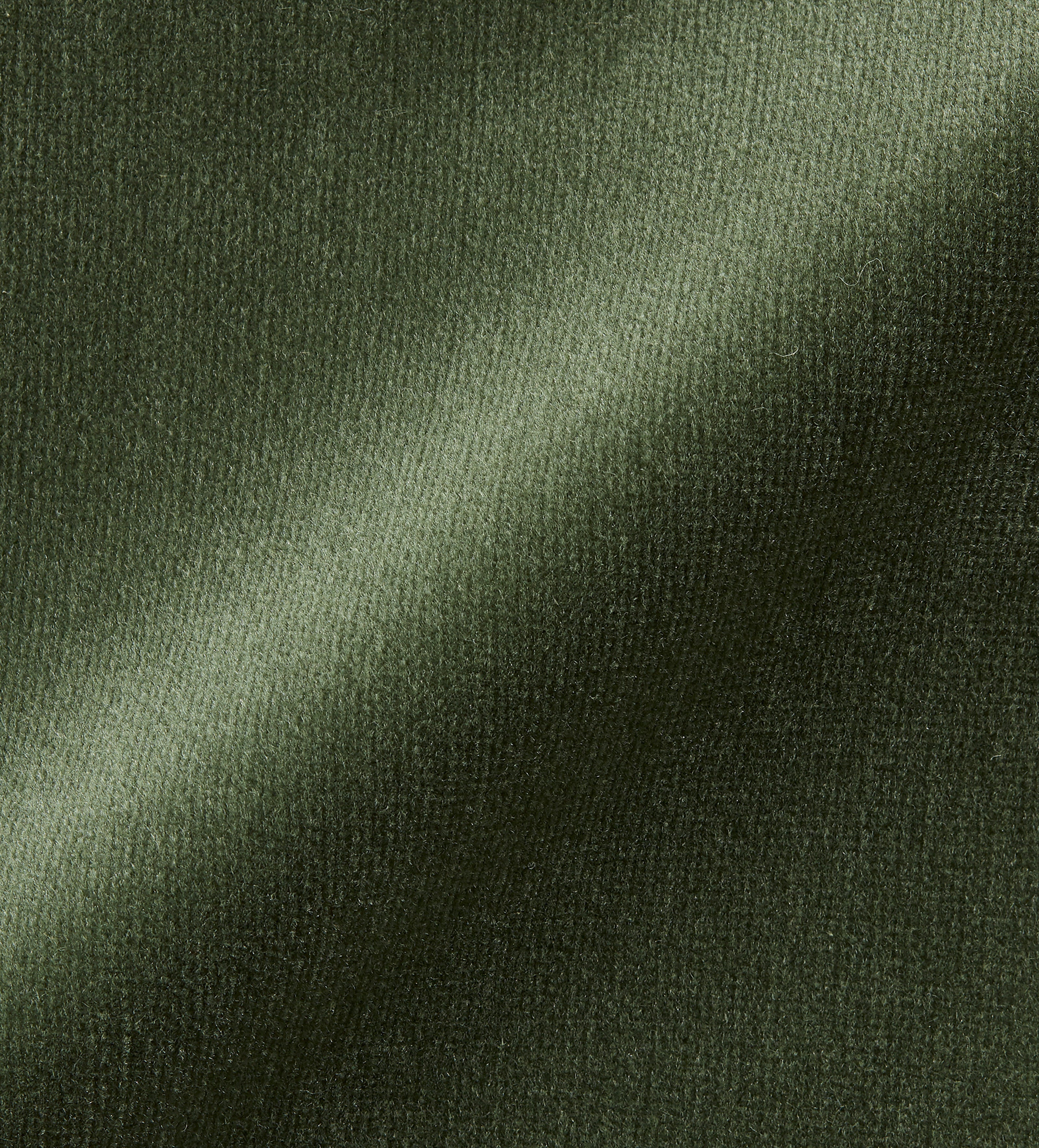 Velvet - Moss