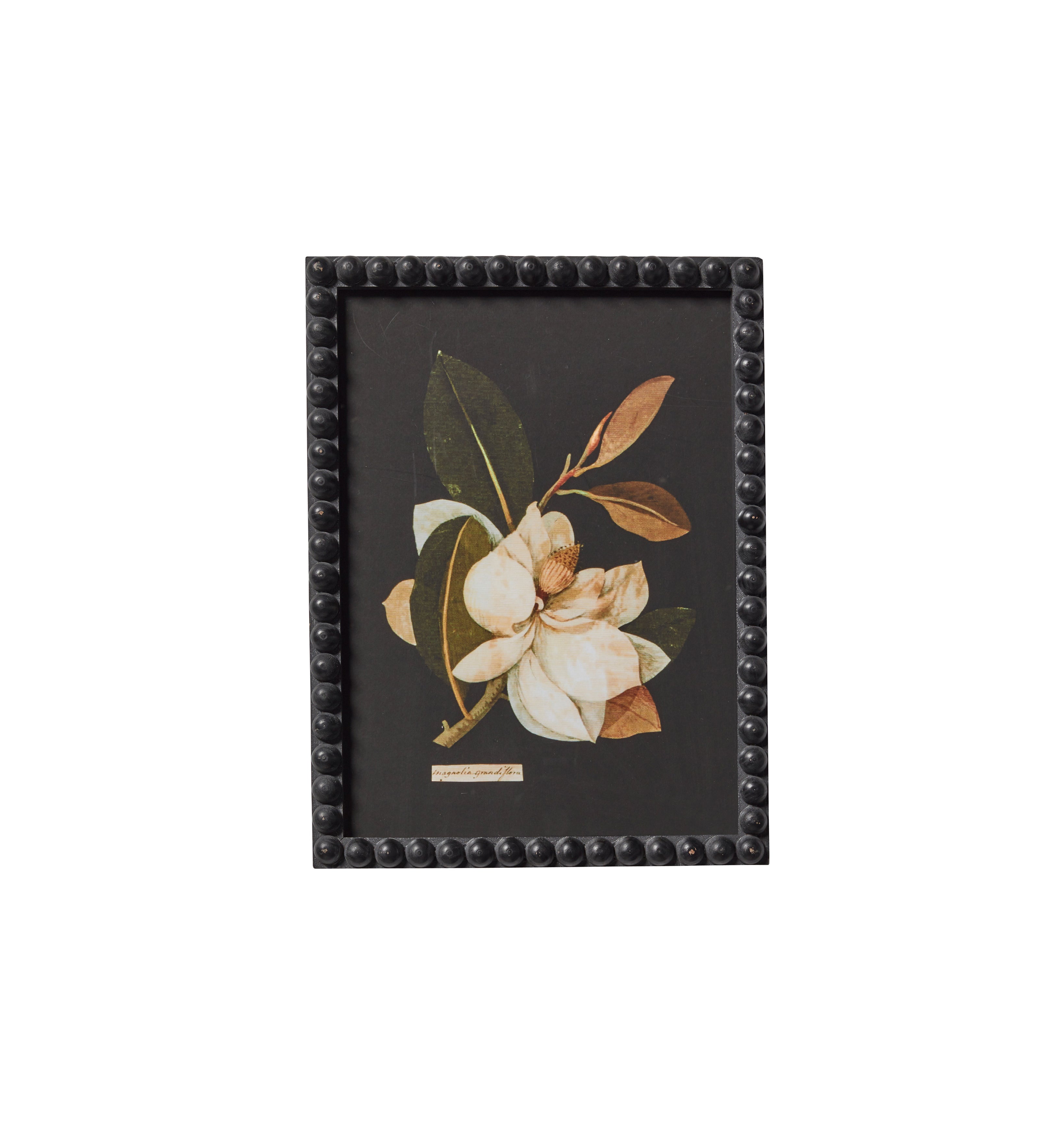 Framed Flower Botanical Prints - Set of Twelve - Multi