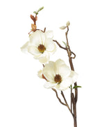 Faux Magnolia Branch - Cream