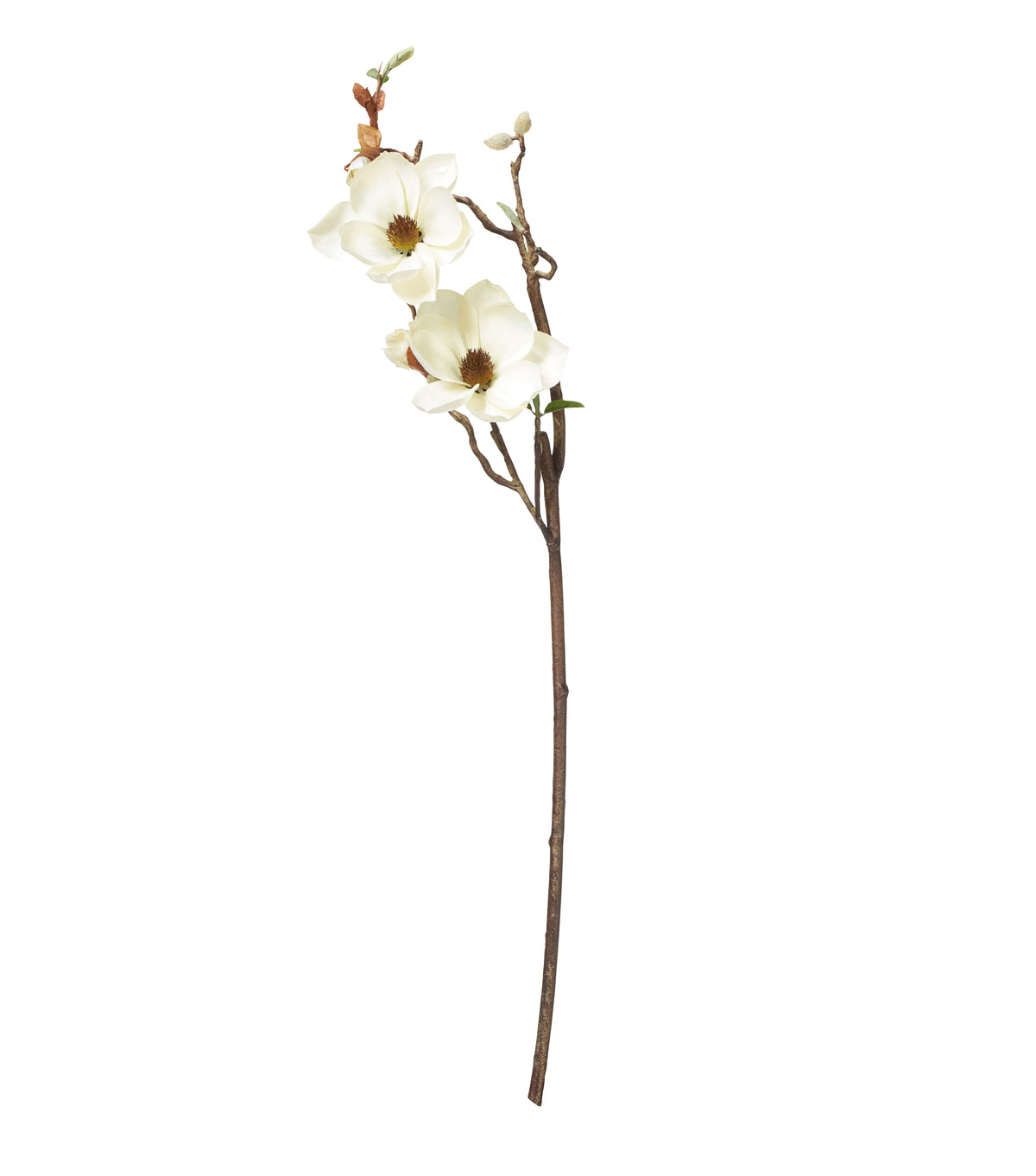 Faux Magnolia Branch - Cream