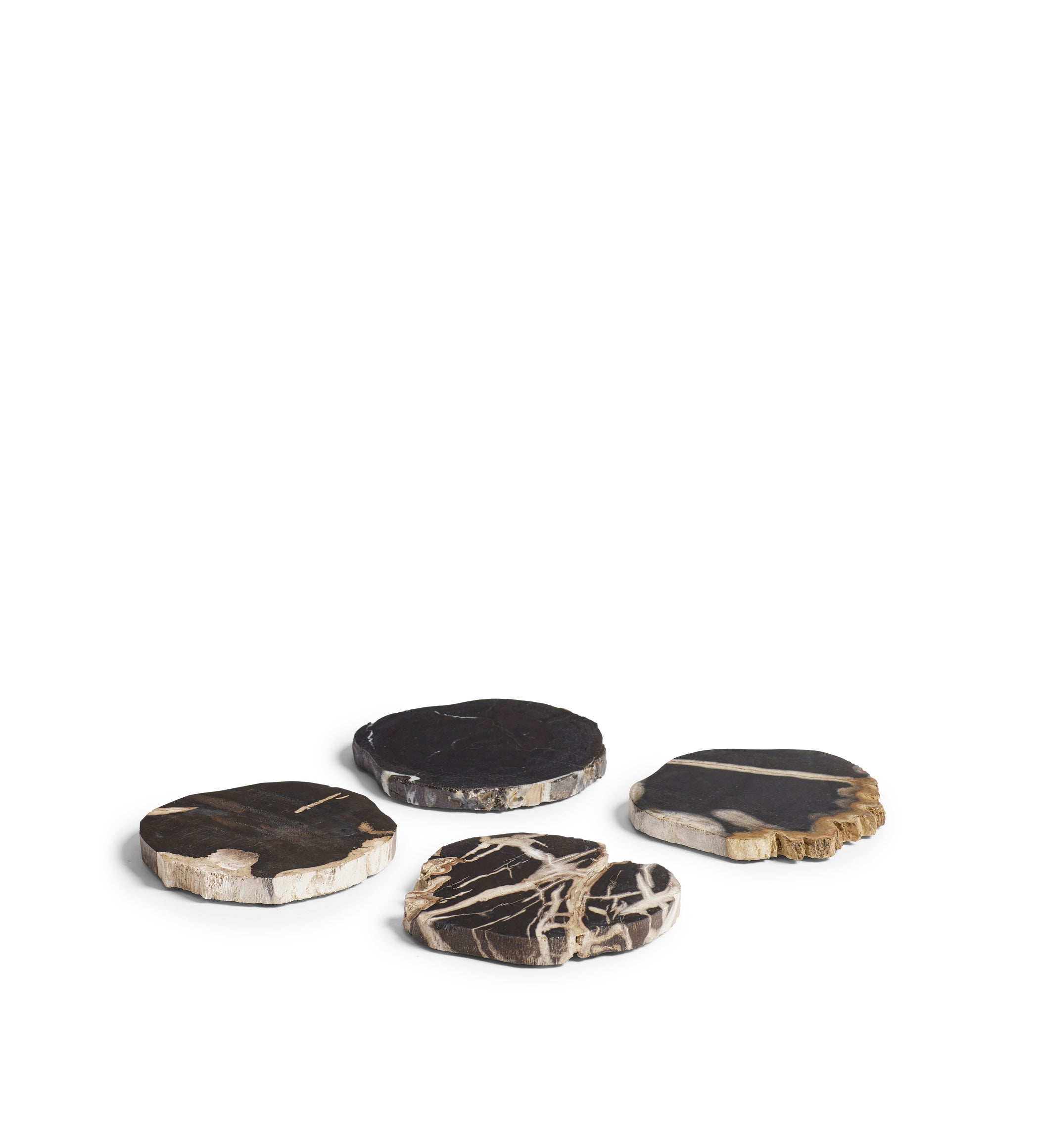 Amaya Petrified Wood Coasters - Set of Four - Natural