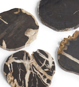 Amaya Petrified Wood Coasters - Set of Four - Natural