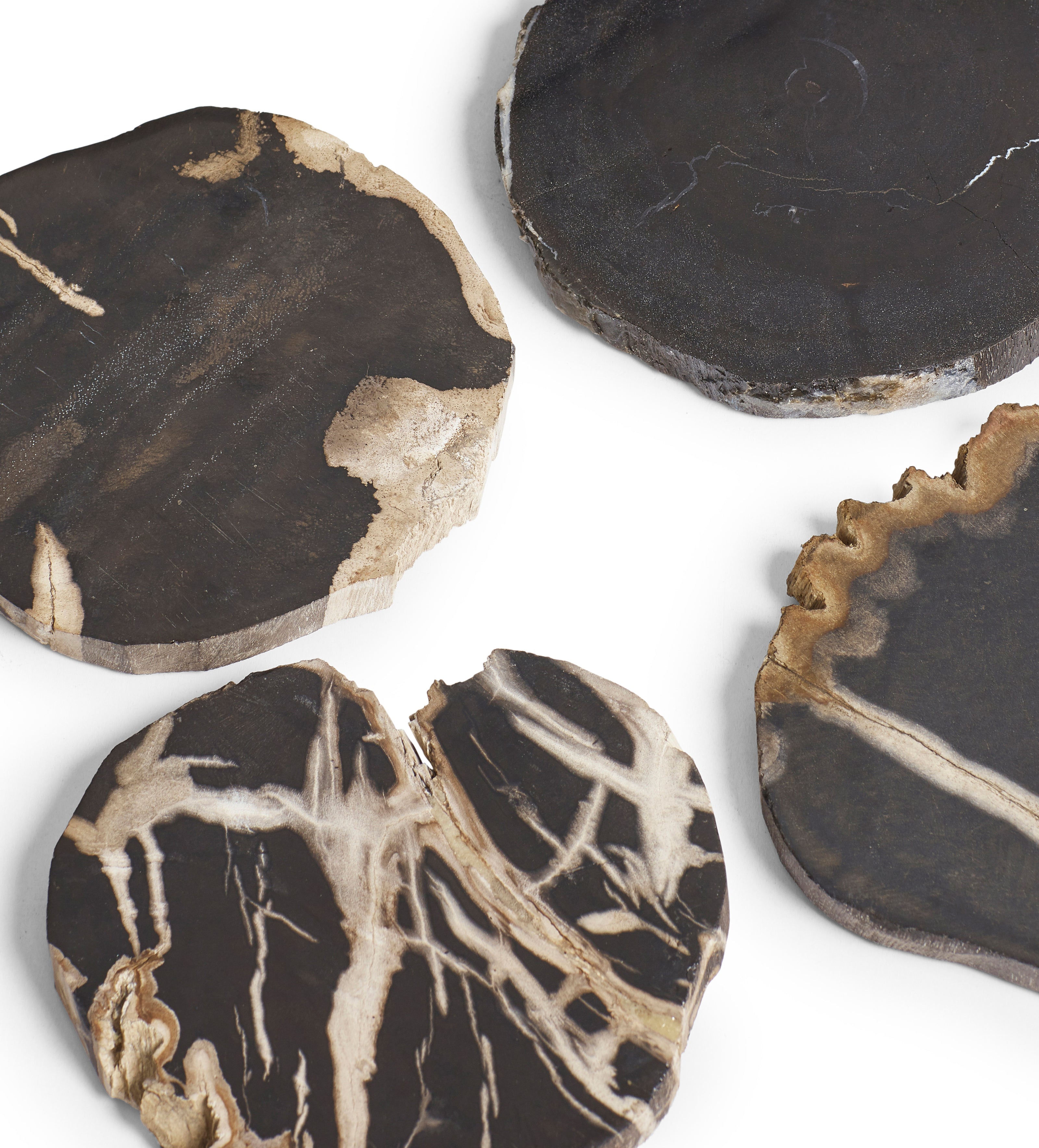 Amaya Petrified Wood Coasters - Set of Four - Natural