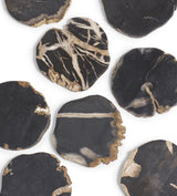 Amaya Petrified Wood Coasters - Set of Four - Natural