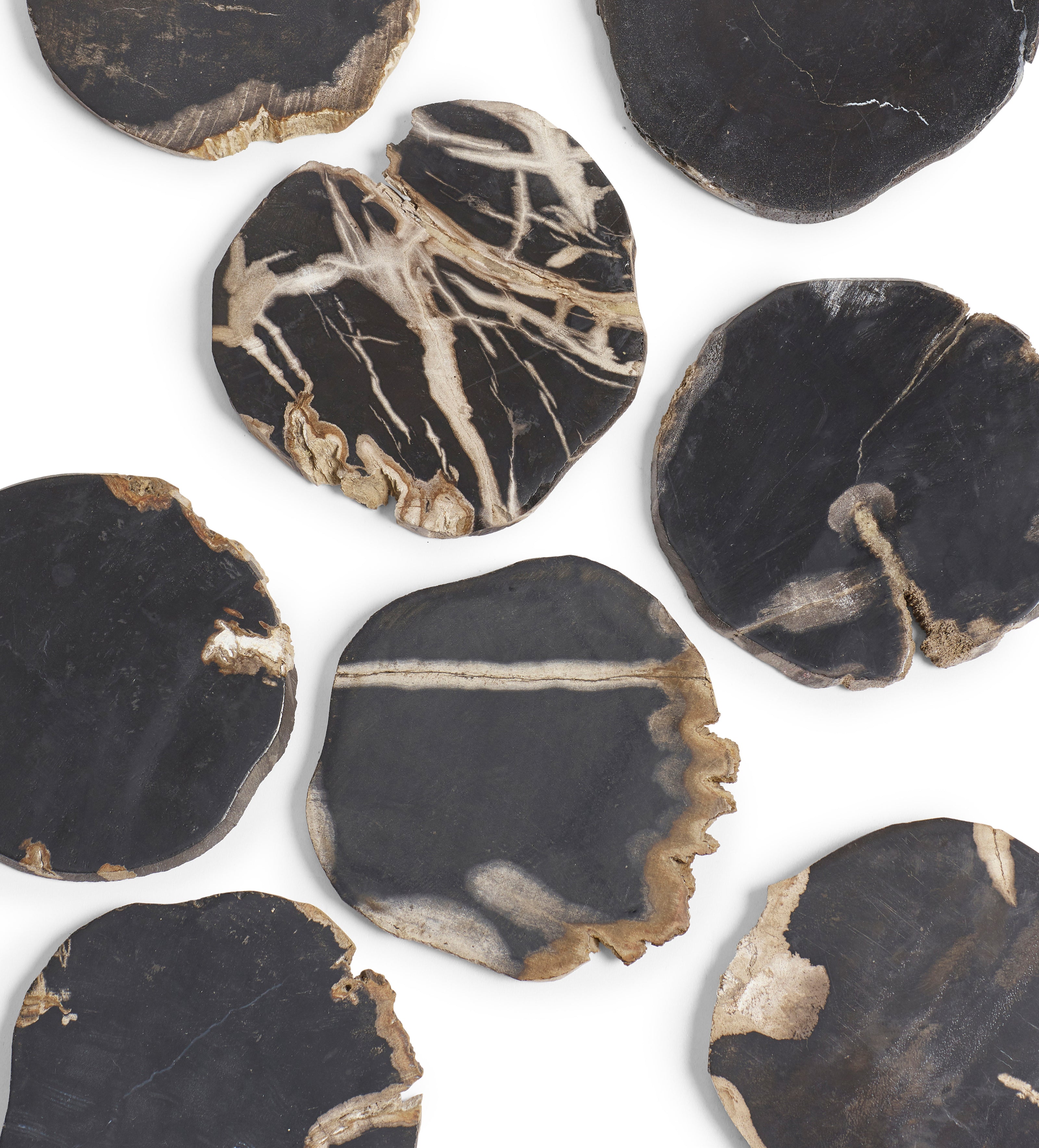 Amaya Petrified Wood Coasters - Set of Four - Natural