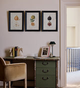 Anatomical Fruit Framed Prints - Set of Twelve - Black