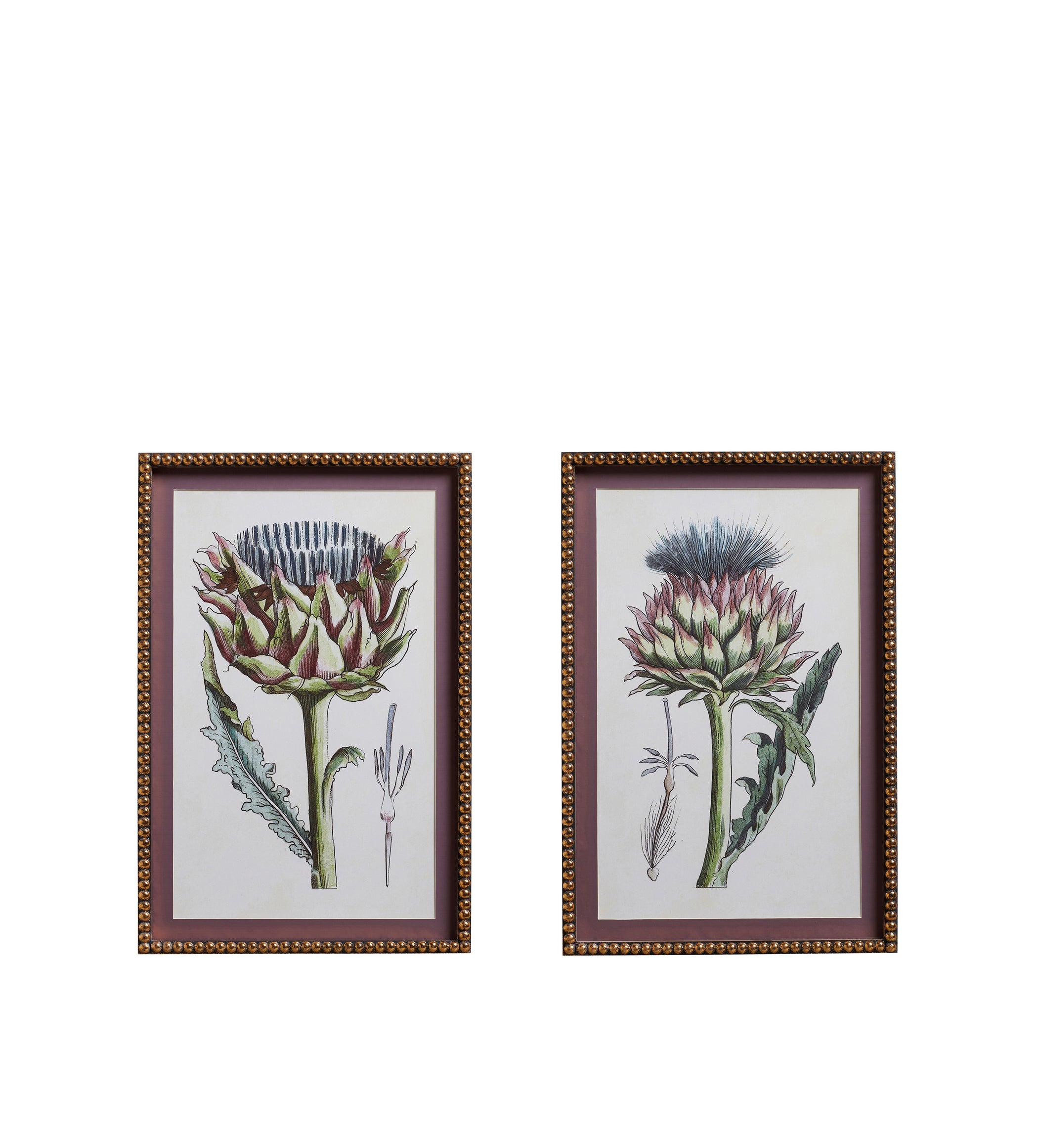 Ankinara Framed Thistle Prints Pair - Purple
