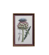 Ankinara Framed Thistle Prints Pair - Purple