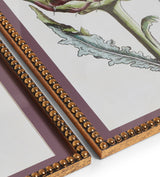 Ankinara Framed Thistle Prints Pair - Purple
