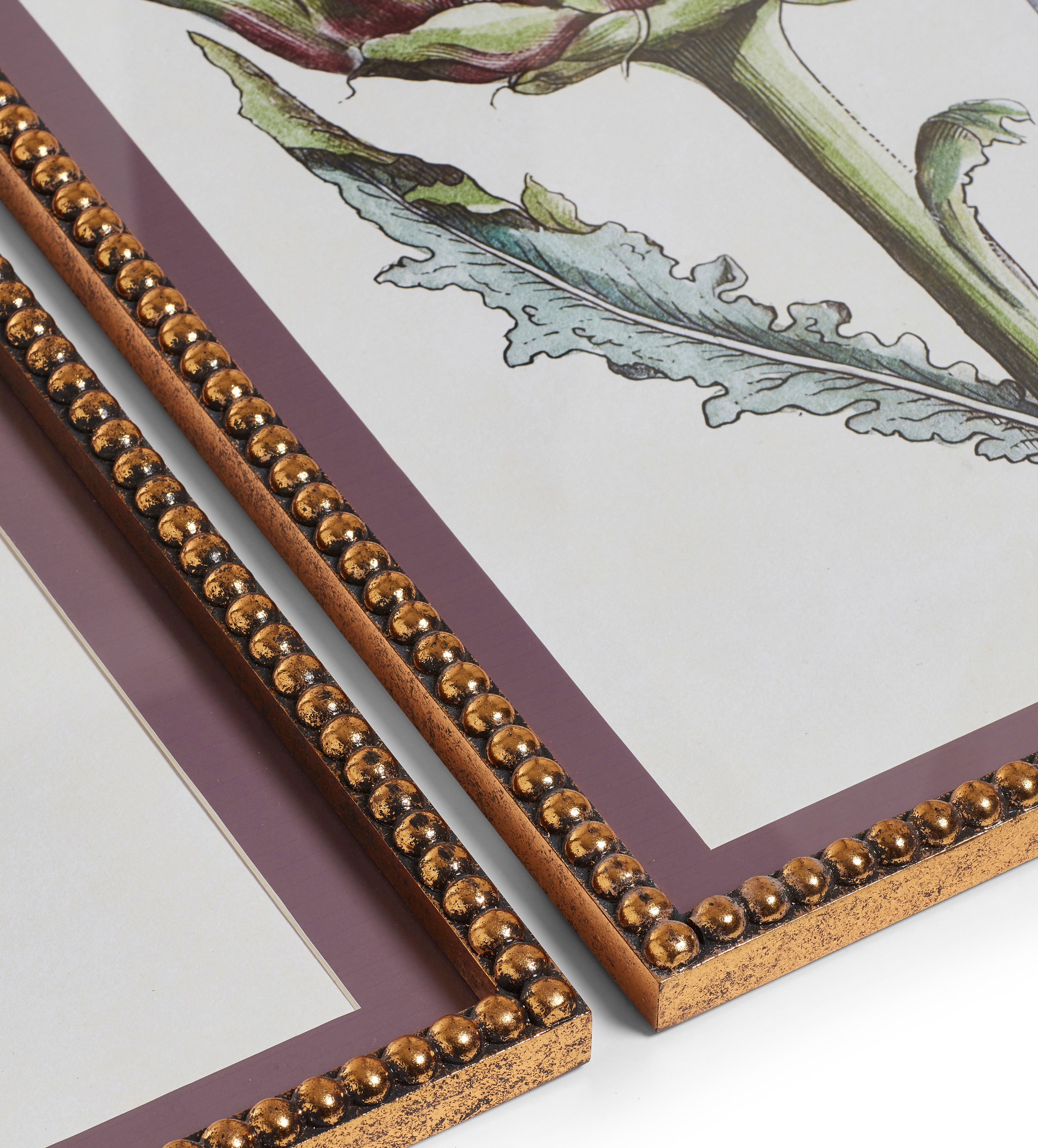 Ankinara Framed Thistle Prints Pair - Purple
