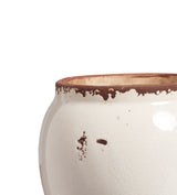 Birdsong Candle 700g - The Odyssey Collection - White