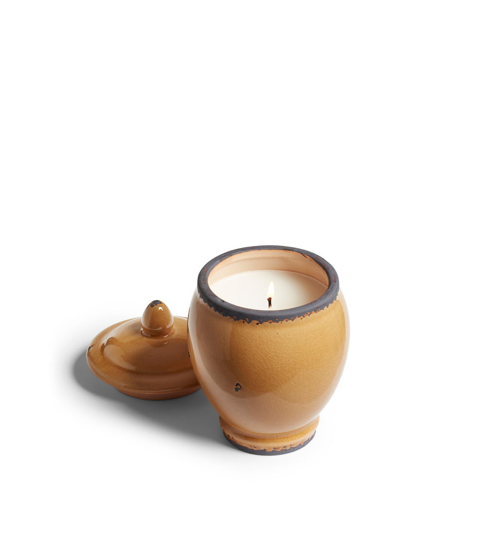 Cardamom Hills Candle 365g - The Odyssey Collection - Mustard