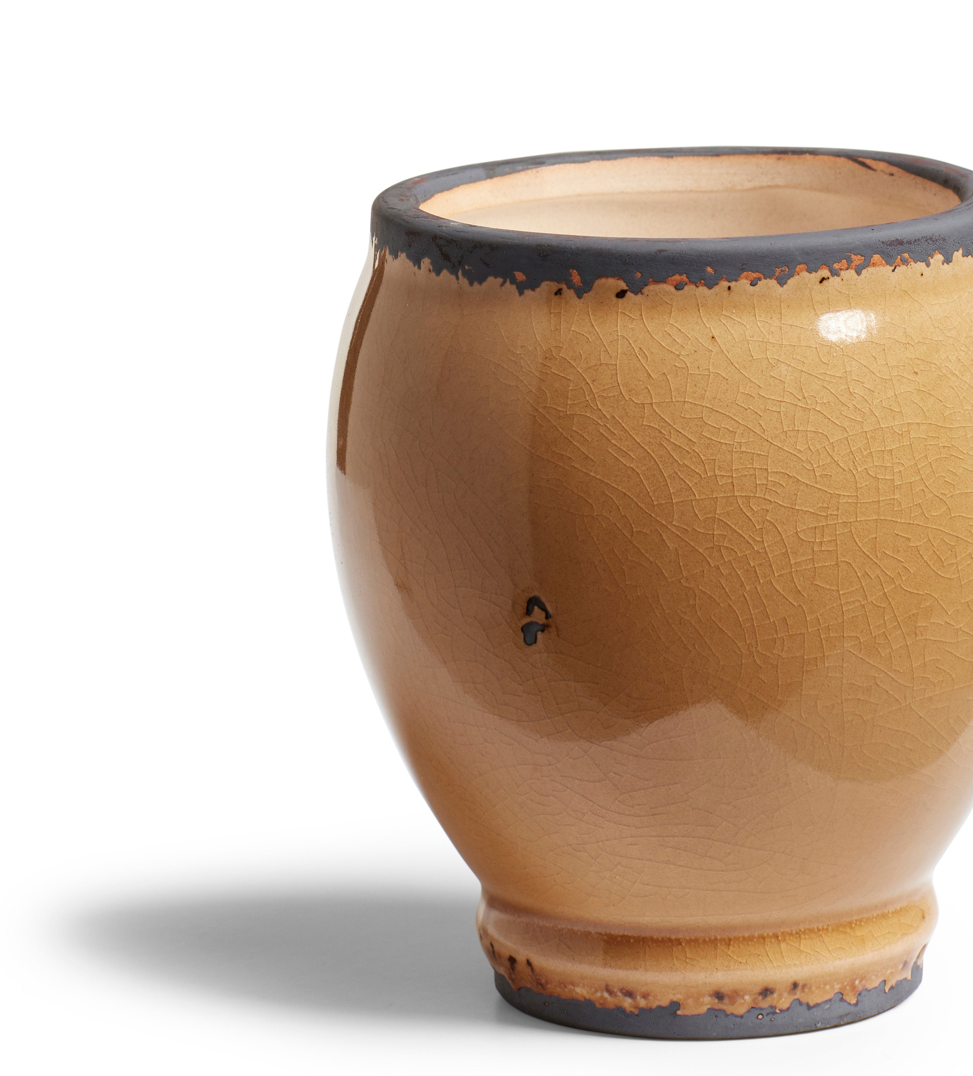 Cardamom Hills Candle 365g - The Odyssey Collection - Mustard