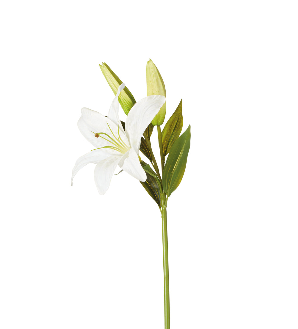 Faux Casablanca Lily Stem - White