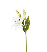 Faux Casablanca Lily Stem - White