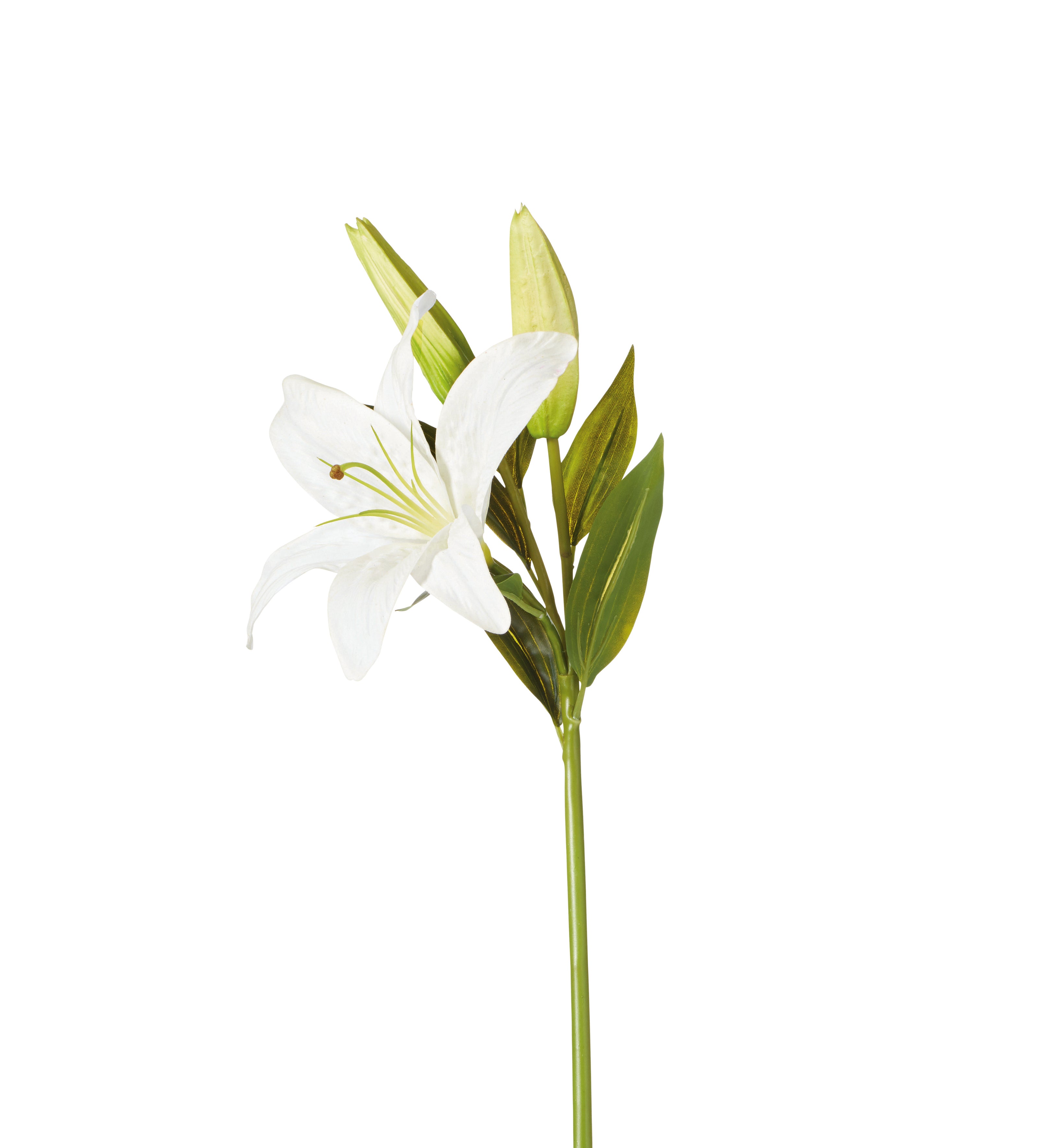 Faux Casablanca Lily Stem - White