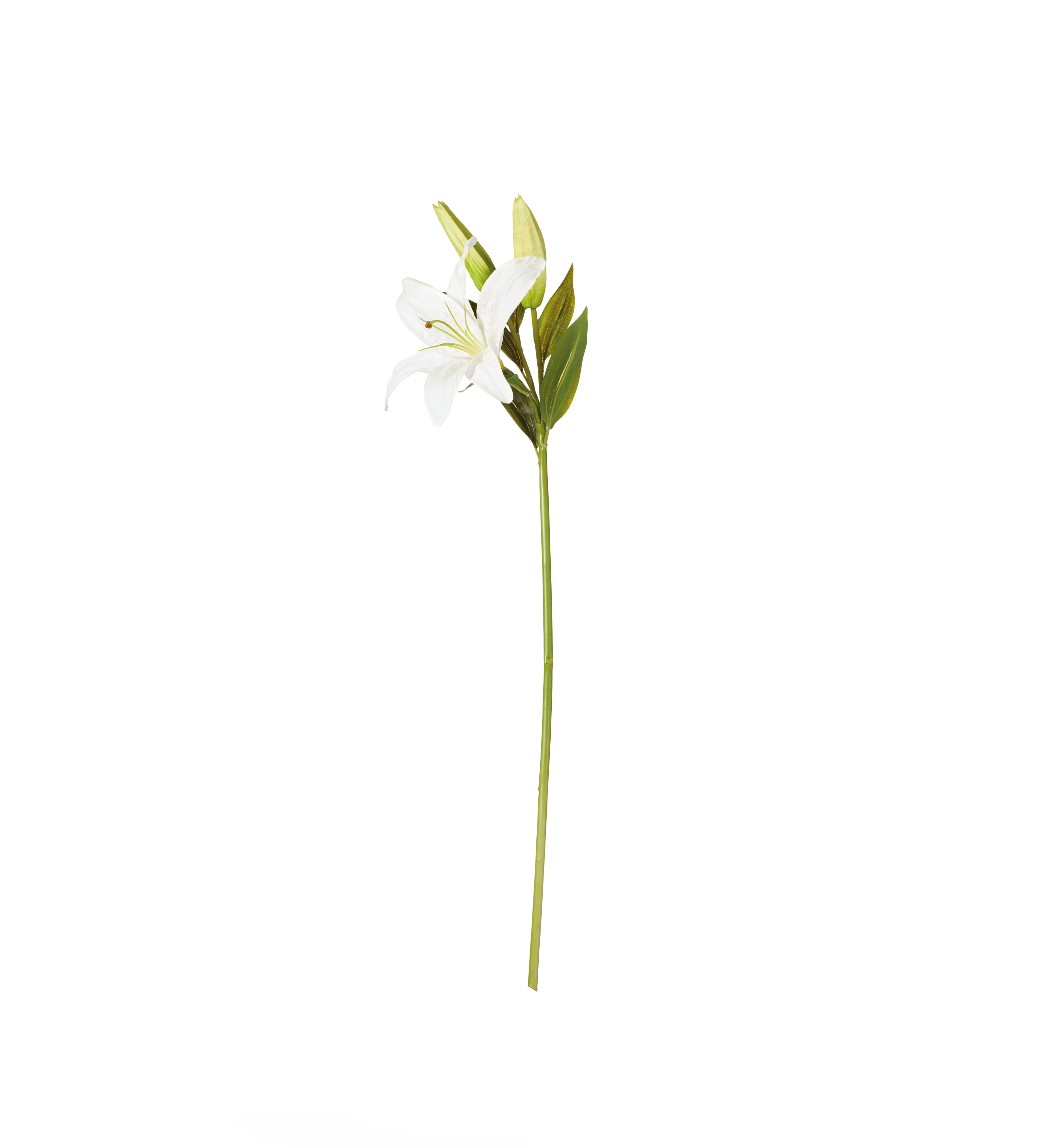 images of white lilies on a stem Faux Casablanca Lily Stem - White