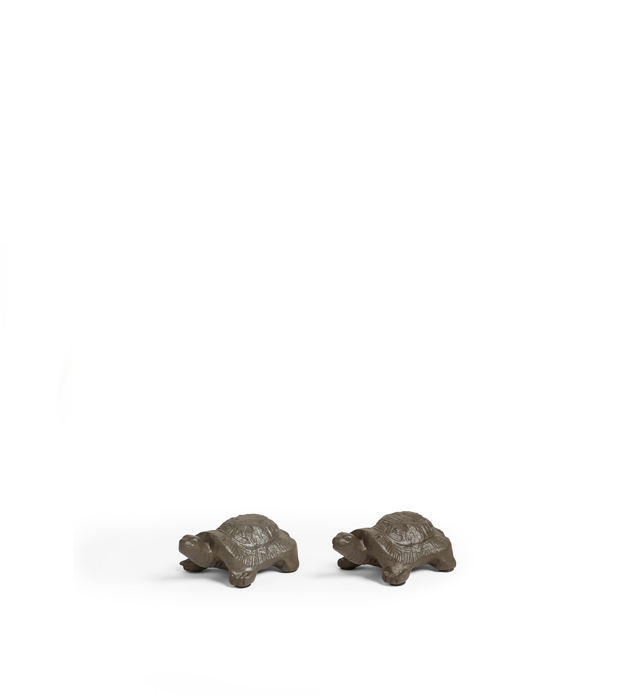 Chelona Pair of Tortoises - Antique Grey