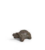 Chelona Pair of Tortoises - Antique Grey