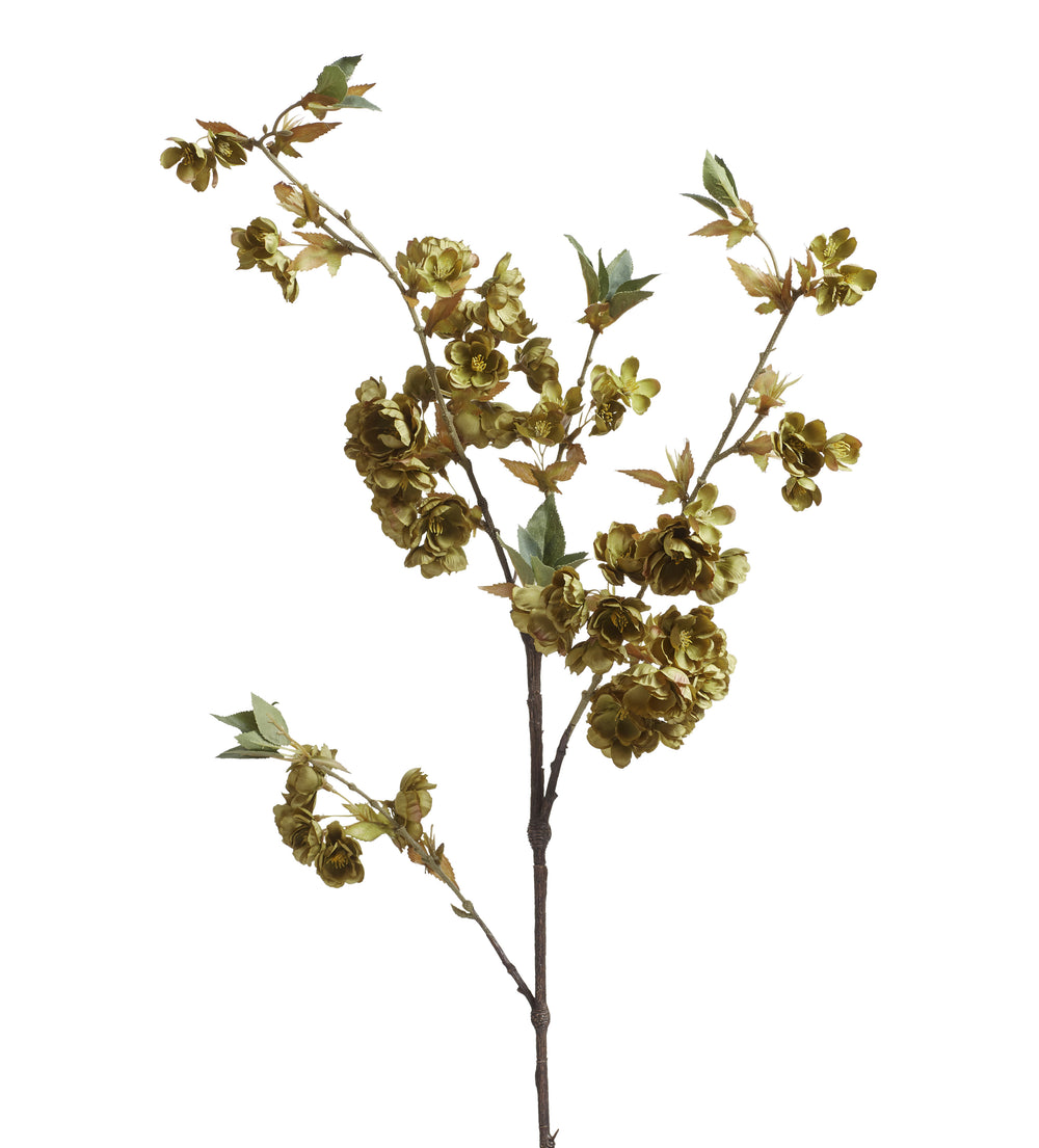 Cherry Blossom Stem - Green