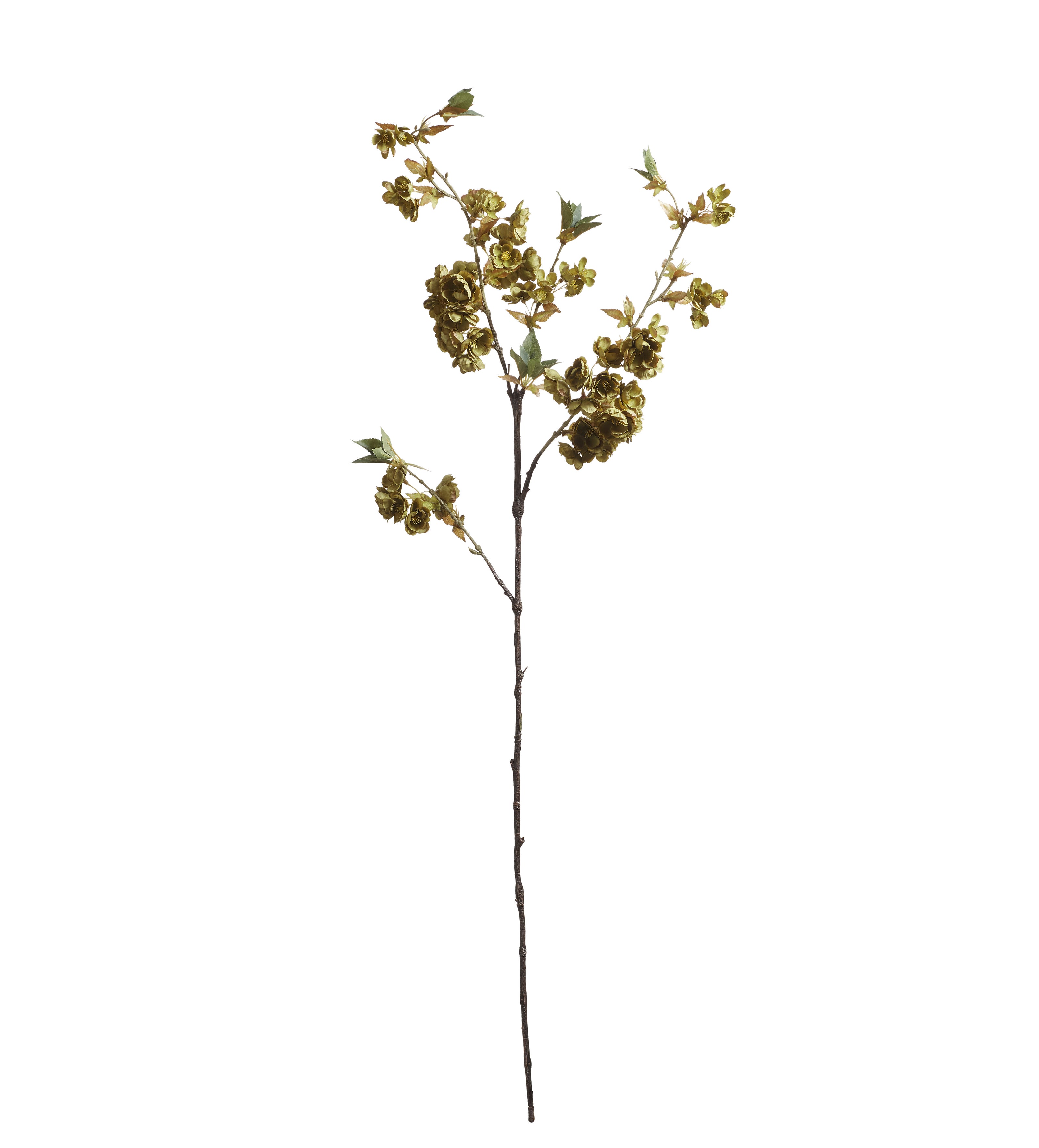 Cherry Blossom Stem - Green
