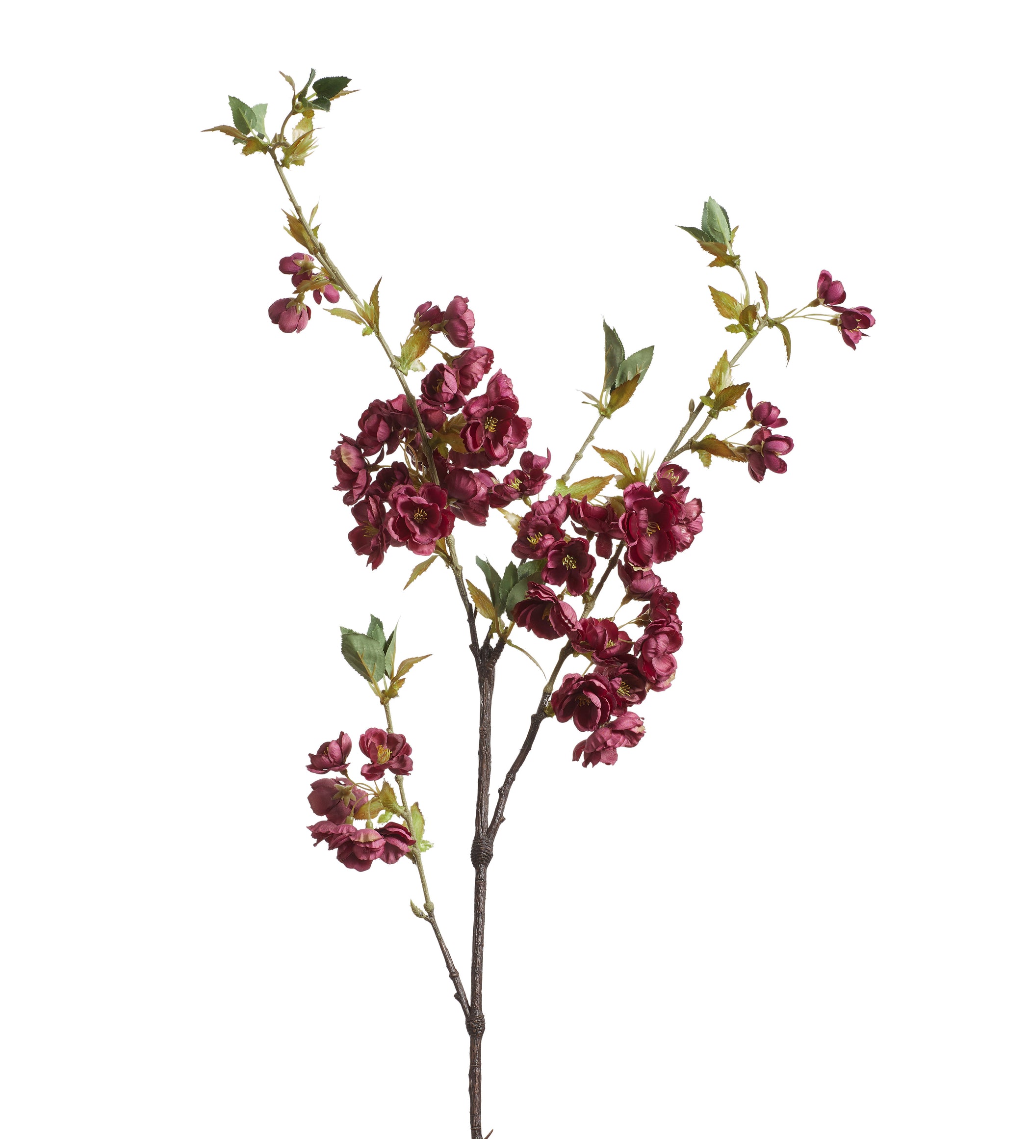 Cherry Blossom Stem - Purple