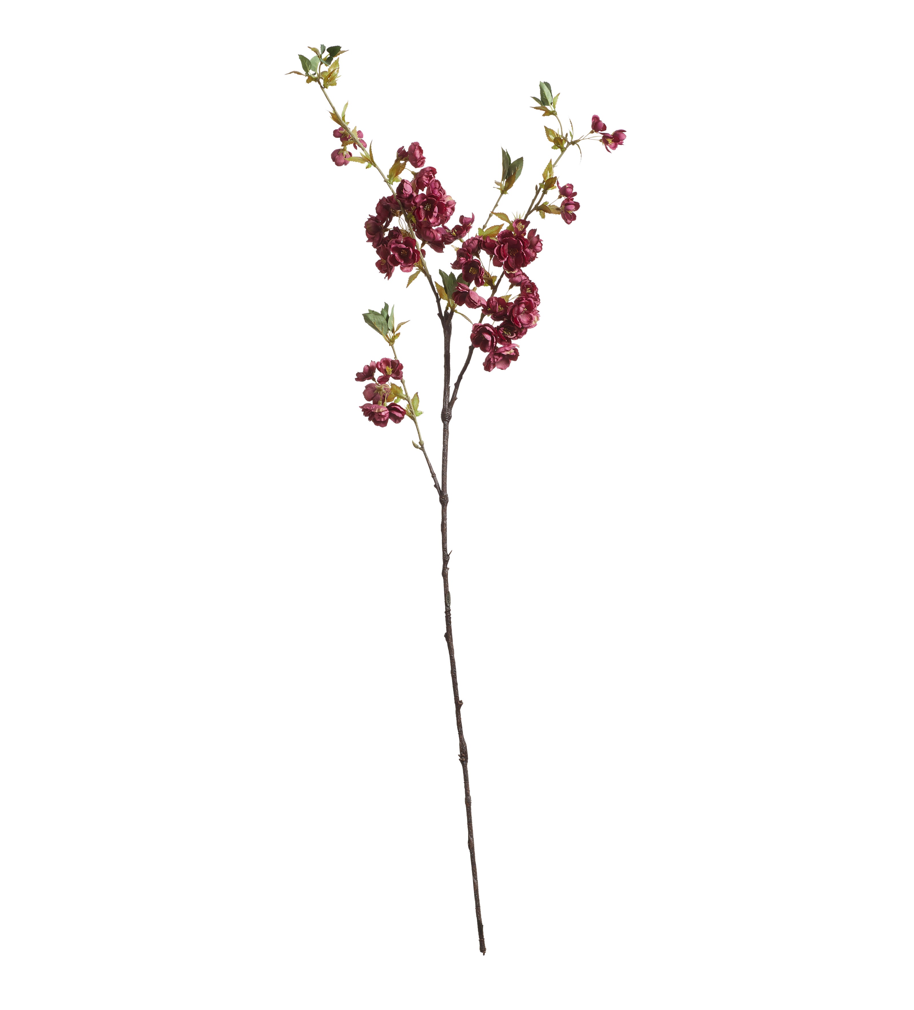 Cherry Blossom Stem - Purple