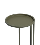 Chota Side Table - Lichen