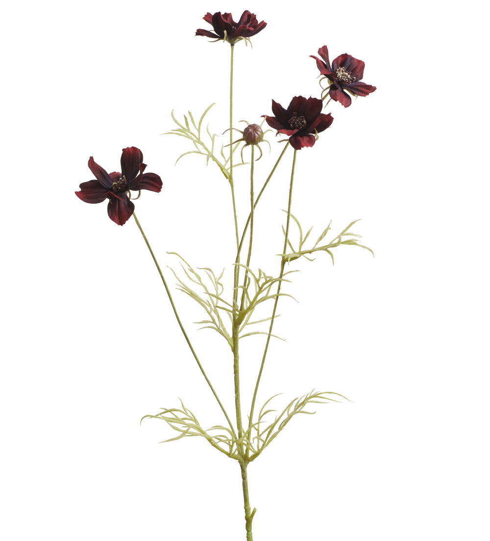Faux Cosmos Stem - Burgundy