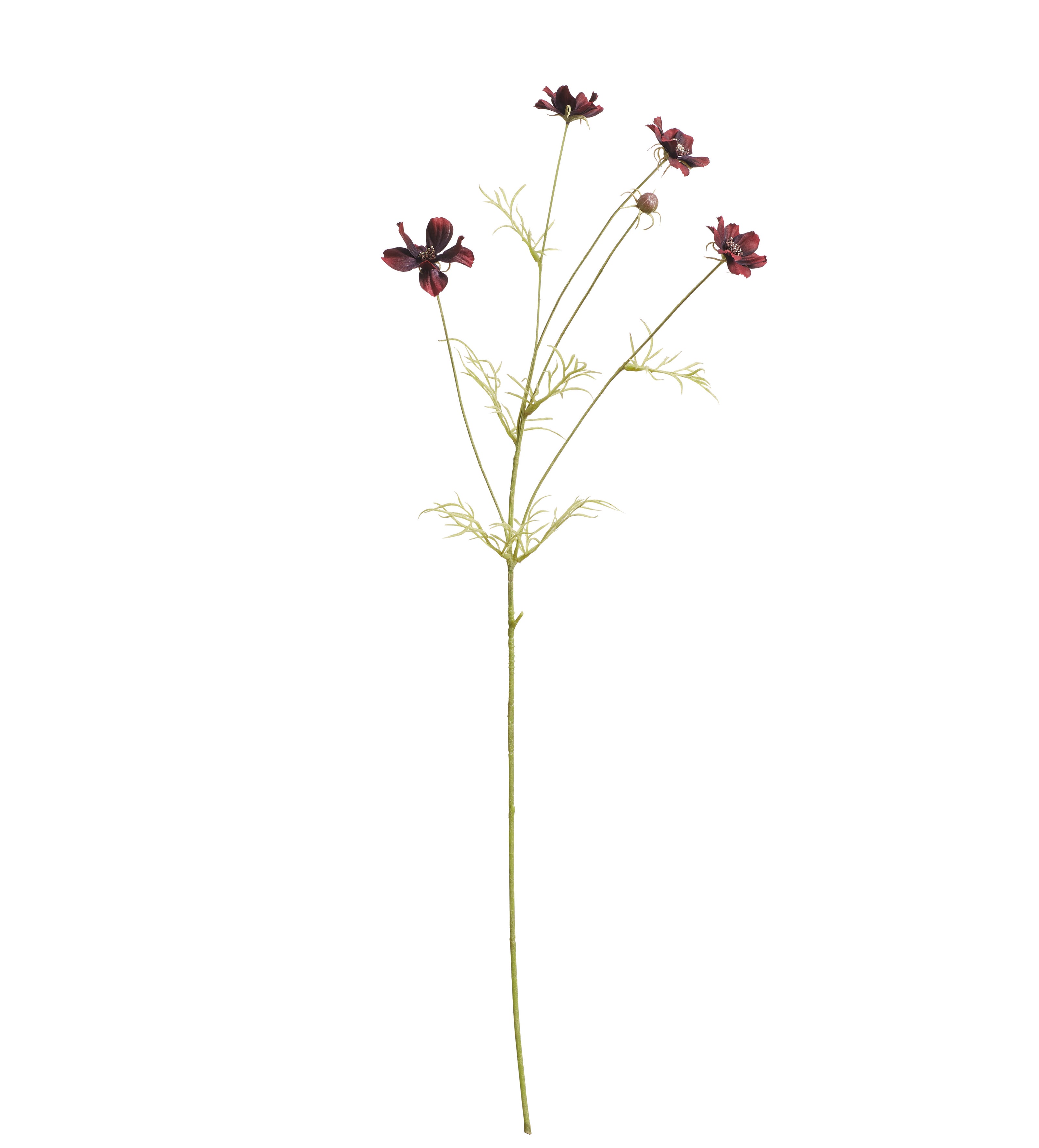 Faux Cosmos Stem - Burgundy