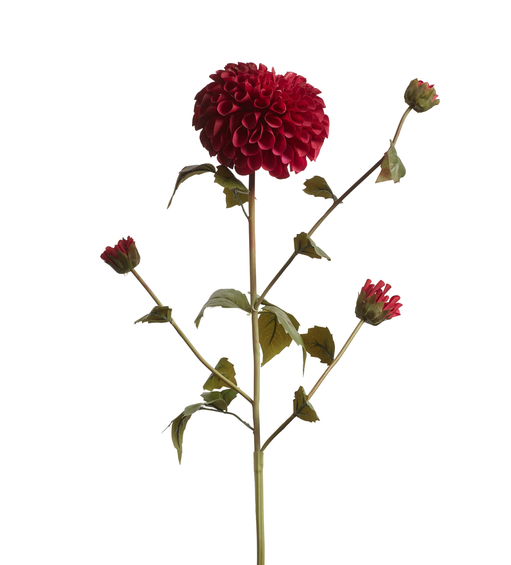 Dahlia Stem - Dark Pink