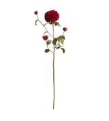 Dahlia Stem - Dark Pink