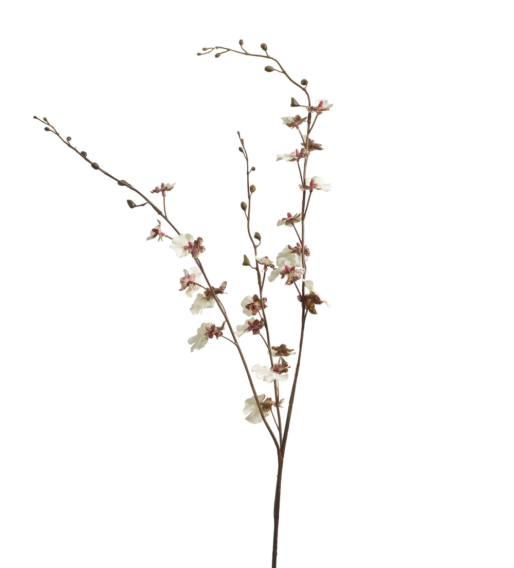 Dancing Orchid Stem - Cream