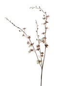 Dancing Orchid Stem - Cream