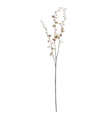 Dancing Orchid Stem - Cream