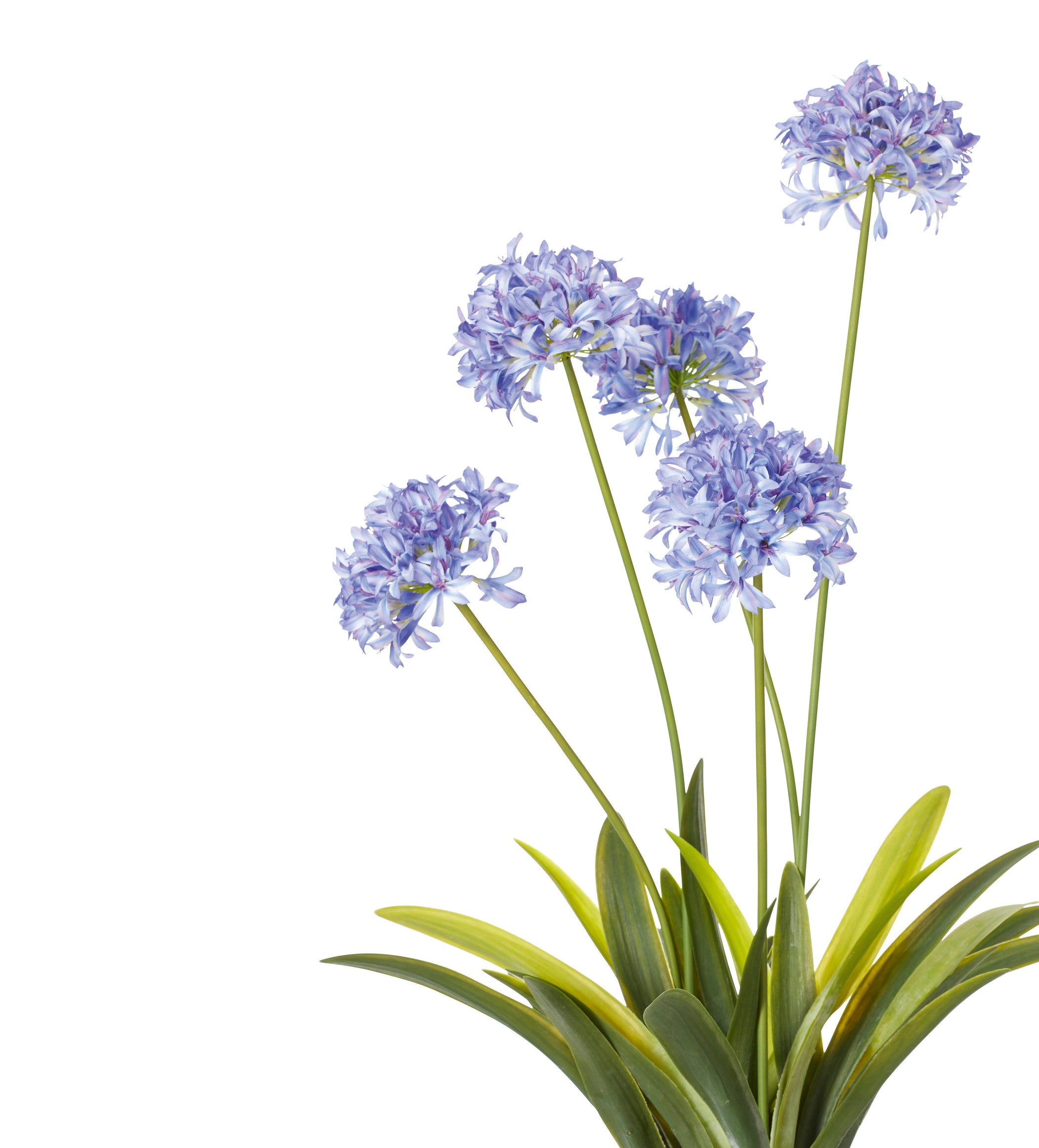 Faux Agapanthus Plant - Purple
