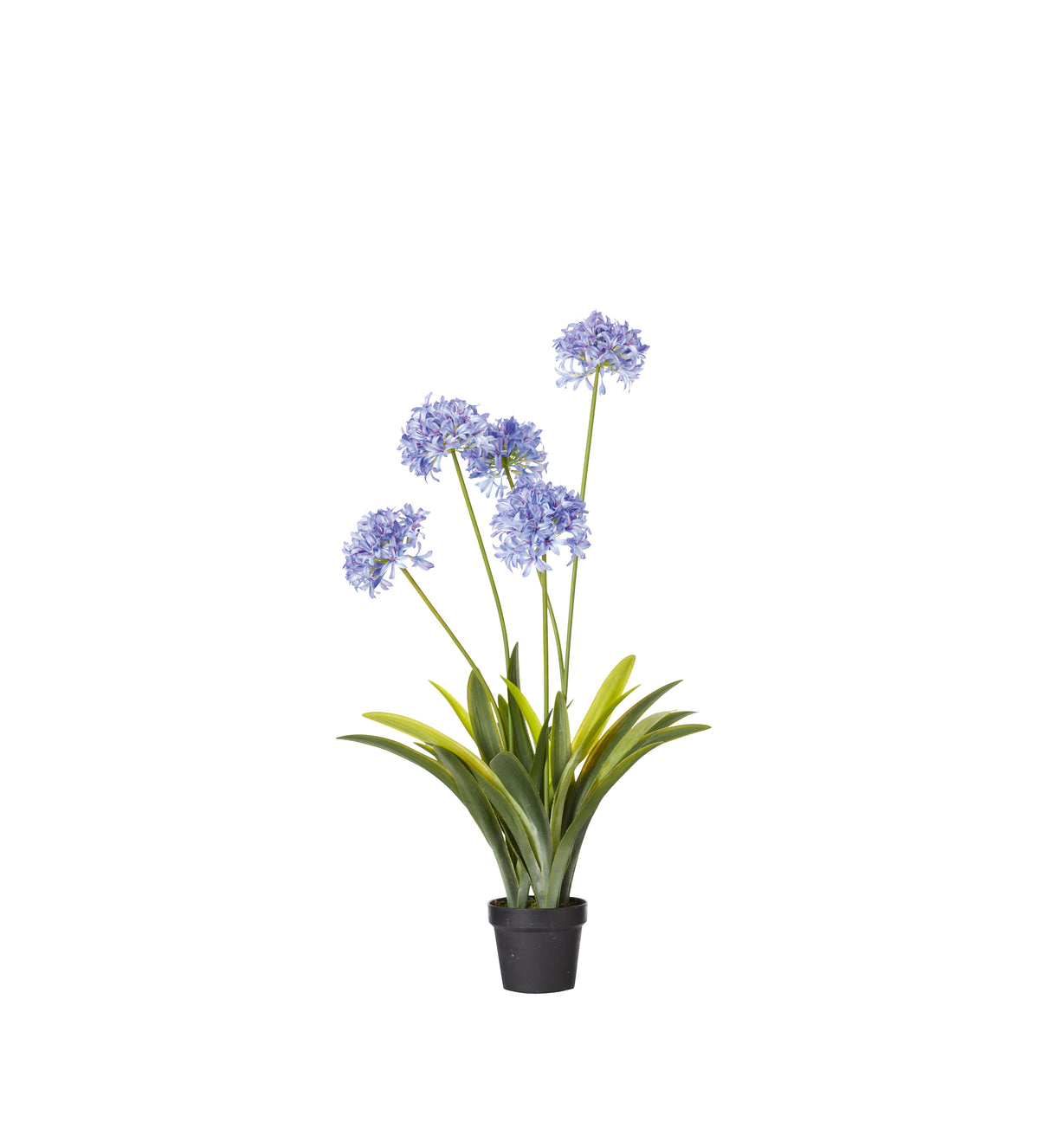 Faux Agapanthus Plant