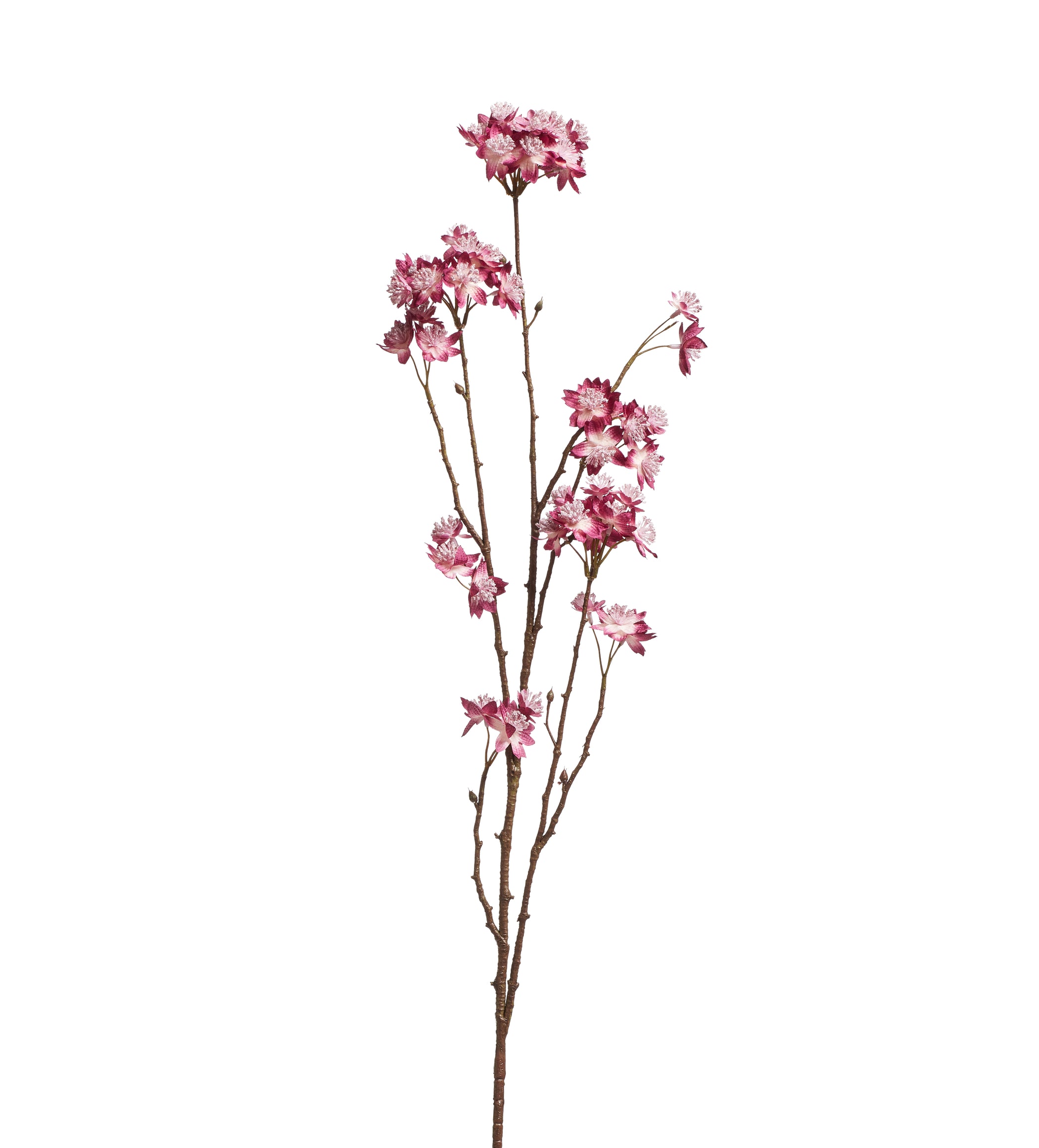 Faux Astrantia Stem - Pink