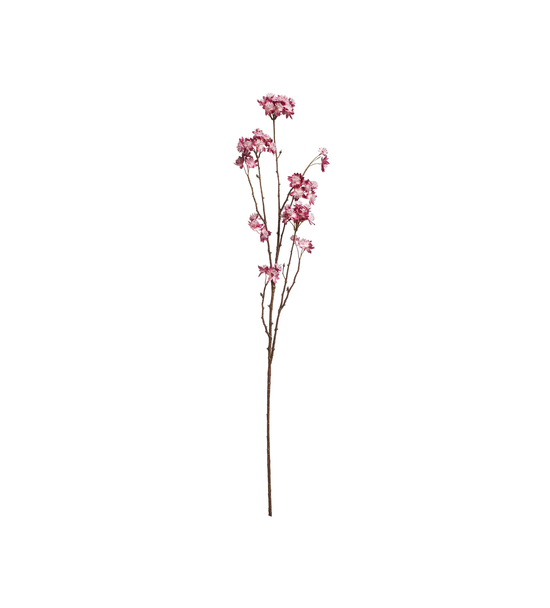 Faux Astrantia Stem - Pink
