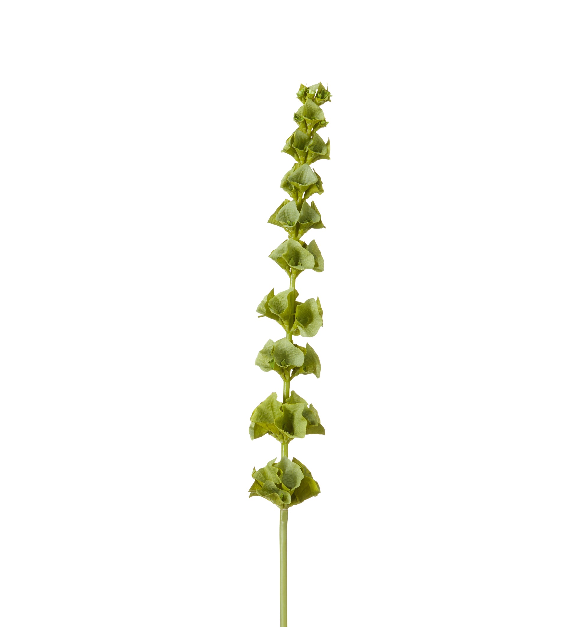 Faux Bells Ireland Stem