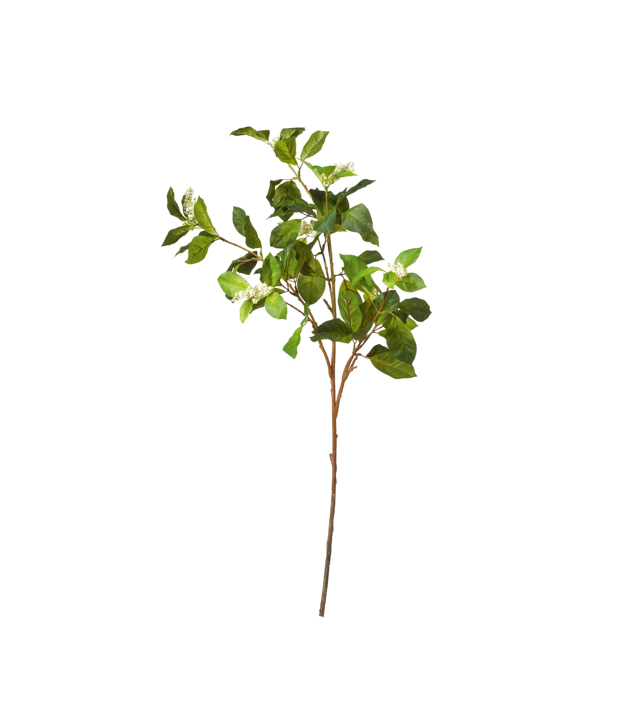 Faux Camellia and Berry Branch - Green