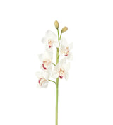 Faux Cymbidium Orchid Stem - White