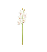 Faux Cymbidium Orchid Stem - White