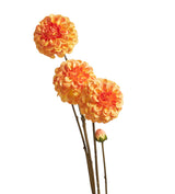 Faux Dahlia Stem - Orange