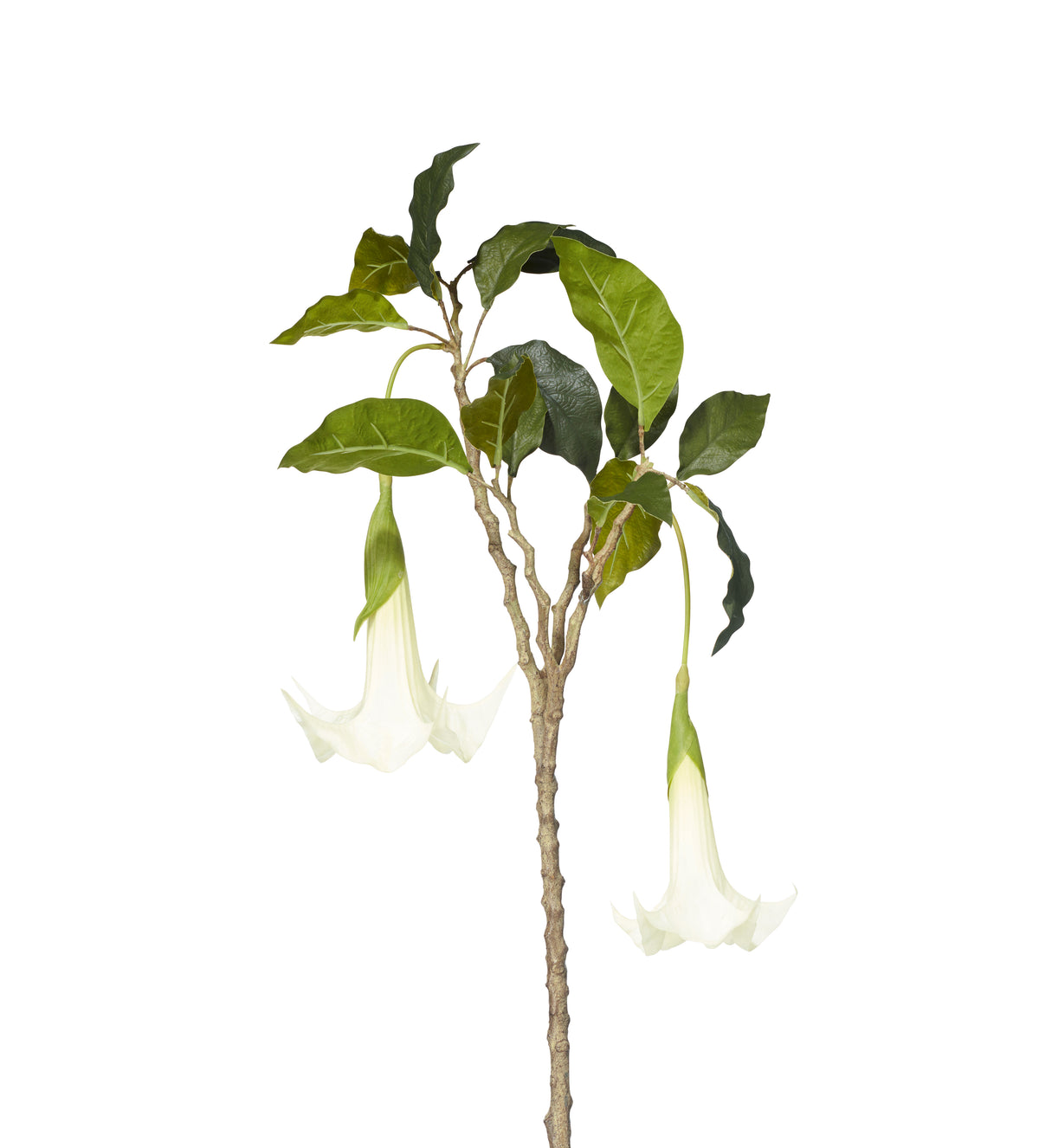 Faux Datura Branch