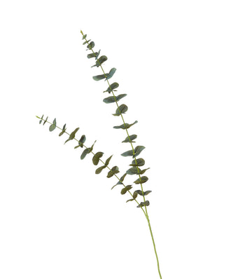 Faux Double Eucalyptus Stem - Green