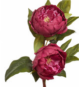 Faux Double Peony Stem - Crimson