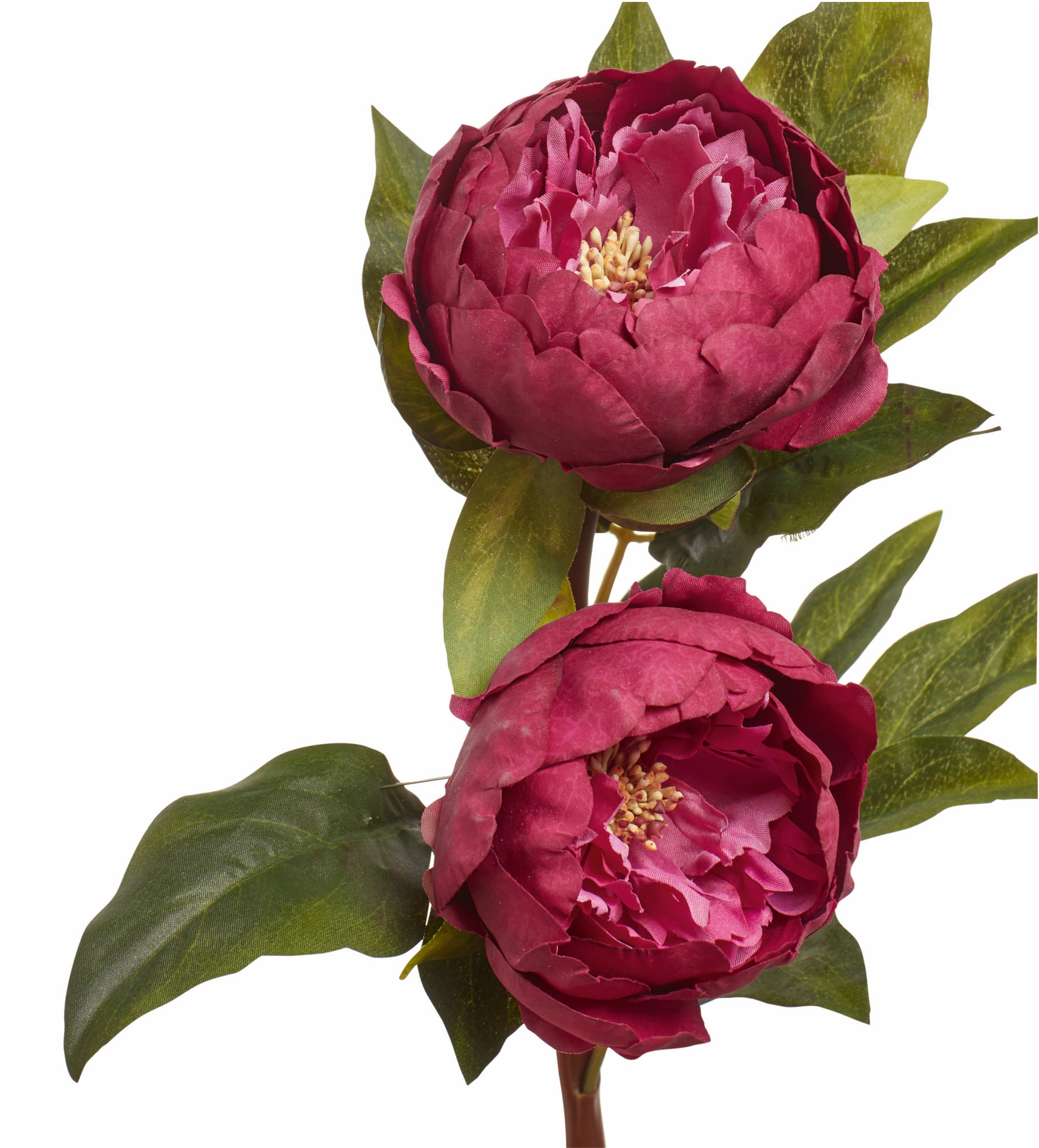 Faux Double Peony Stem - Crimson