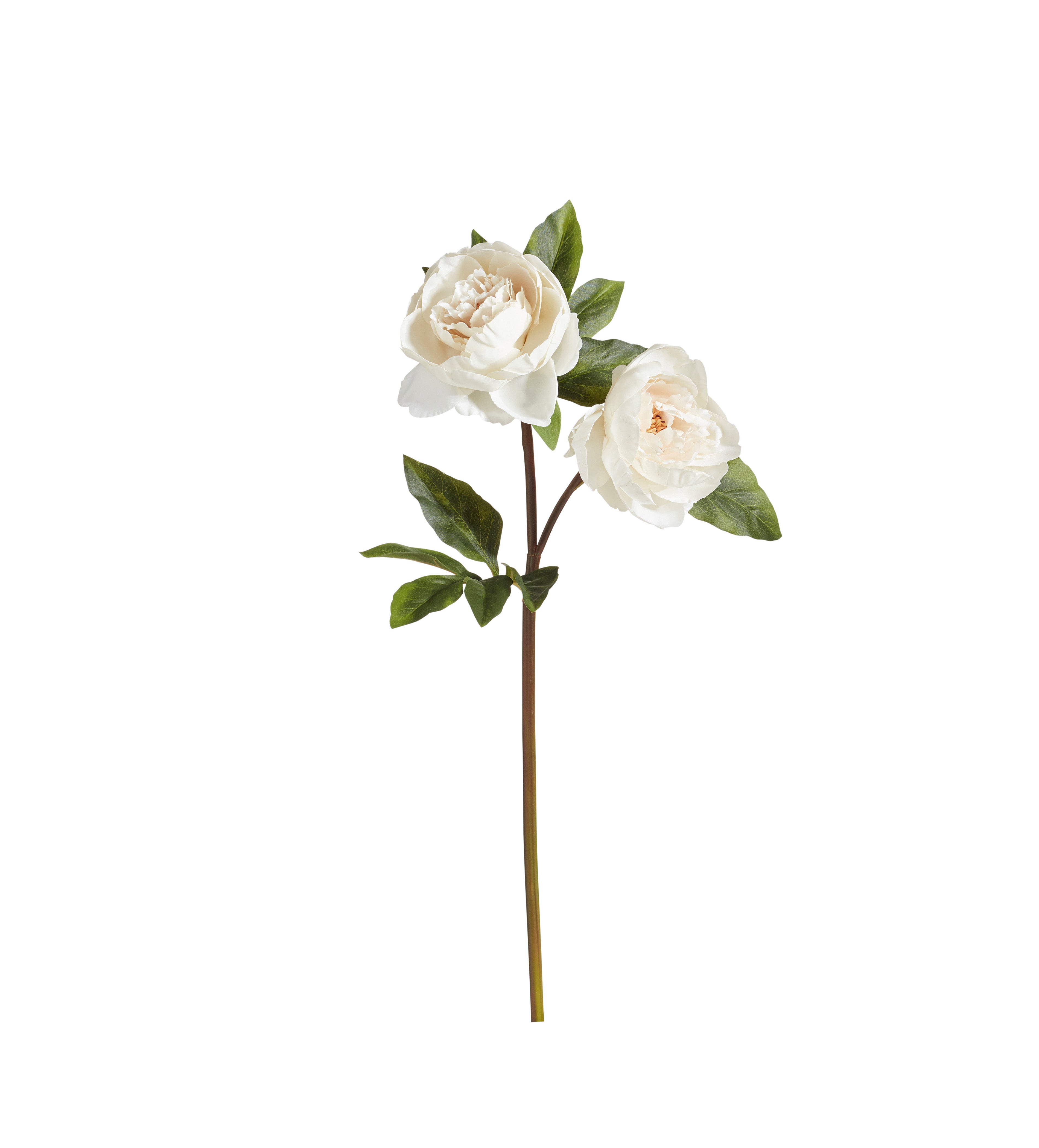 Faux Double Peony Stem - White | OKA